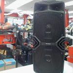 HAUT PARELEUR DE KARAOKE