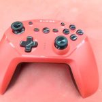 MANETTE SWITCH / ROUGE